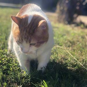 Hi there! We are selling our closet!